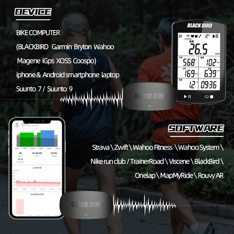 BlackBird HR1 Heart Rate Senso - Breath Rate Monitor ulasan dan harga